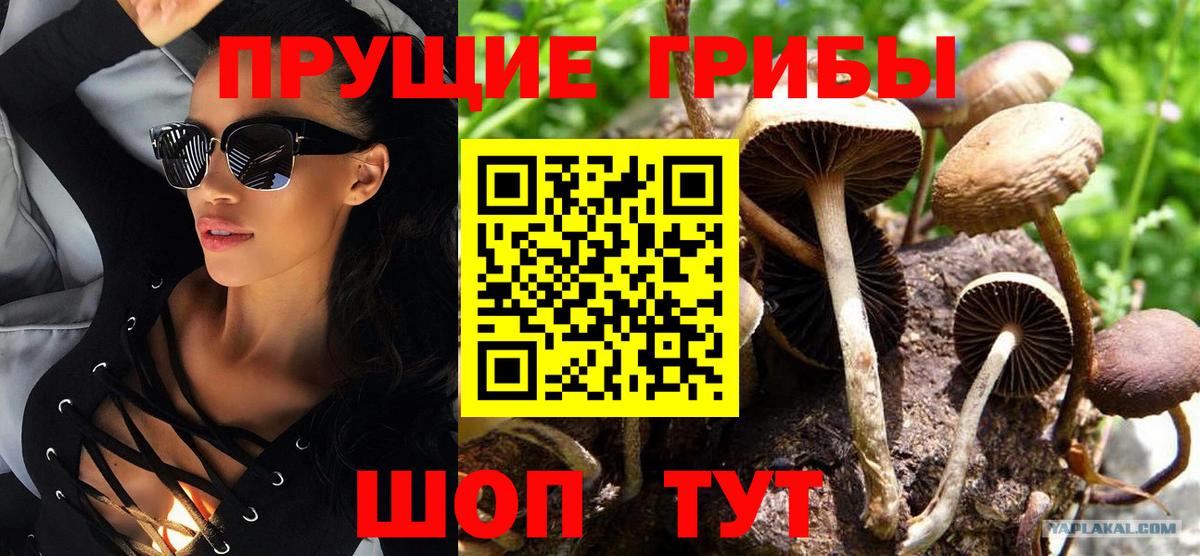 Псилоцибиновые грибы GOLDEN TEACHER Ишимбай