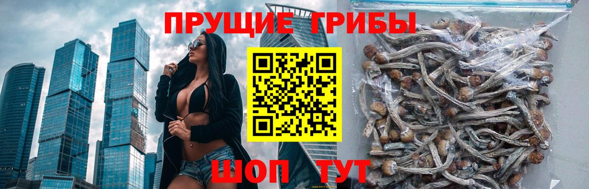 Псилоцибиновые грибы Magic Shrooms  Псилоцибиновые грибы Psilocybine cubensis  Вход с VPN  Ишимбай 